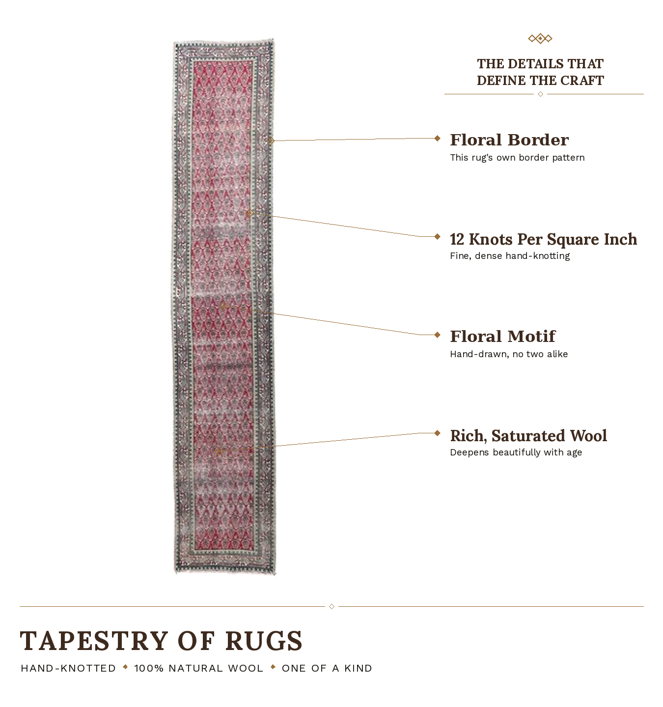 SHR667 product infographic