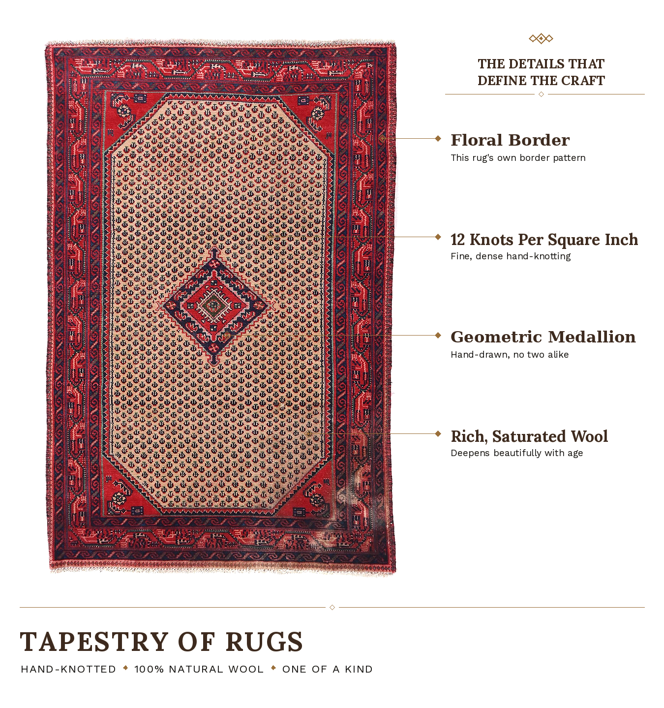 SHR576 product infographic