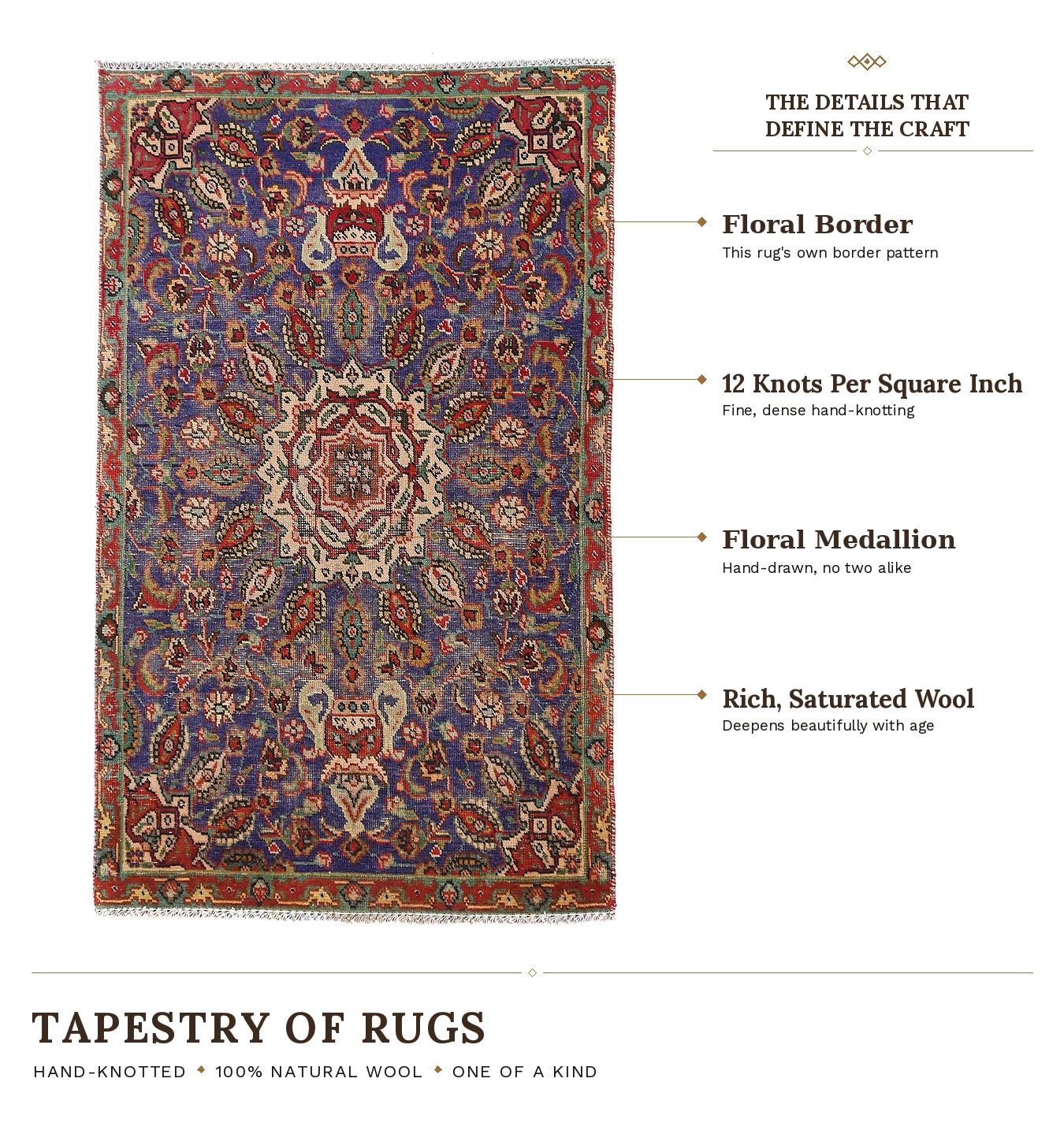 SHR579 product infographic