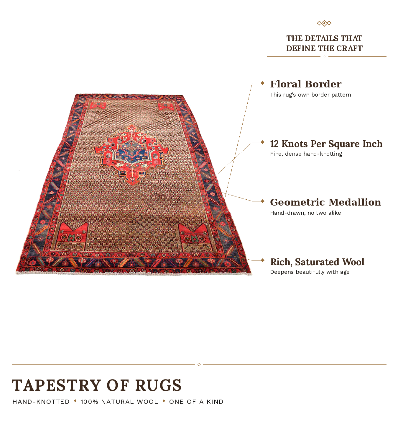 SHR244 product infographic