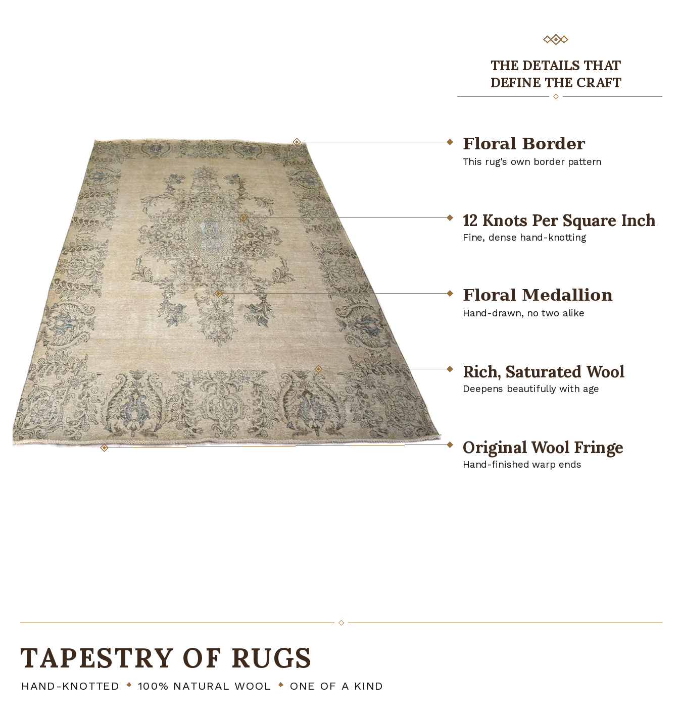 TWW346 product infographic