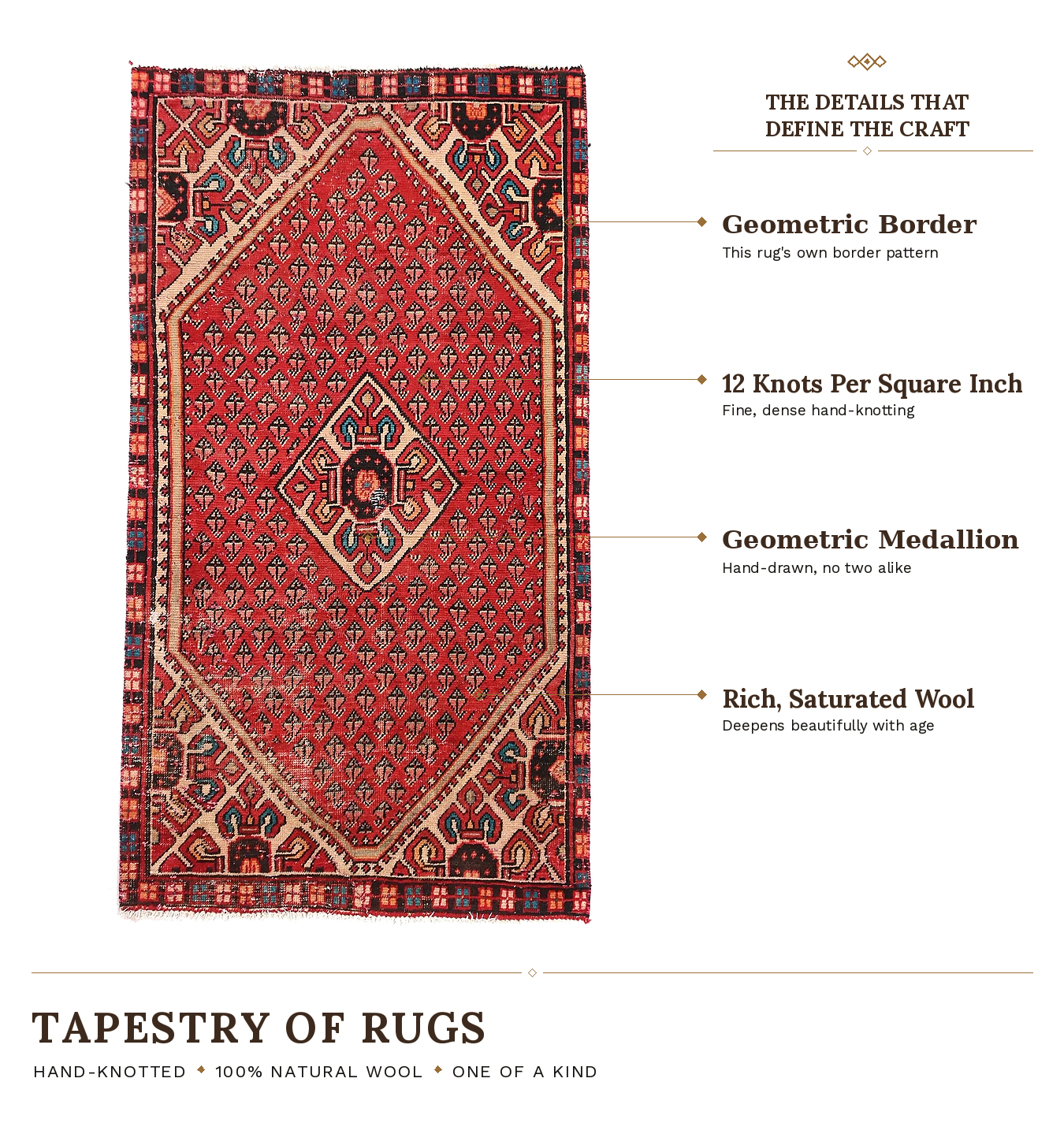 SHR584 product infographic