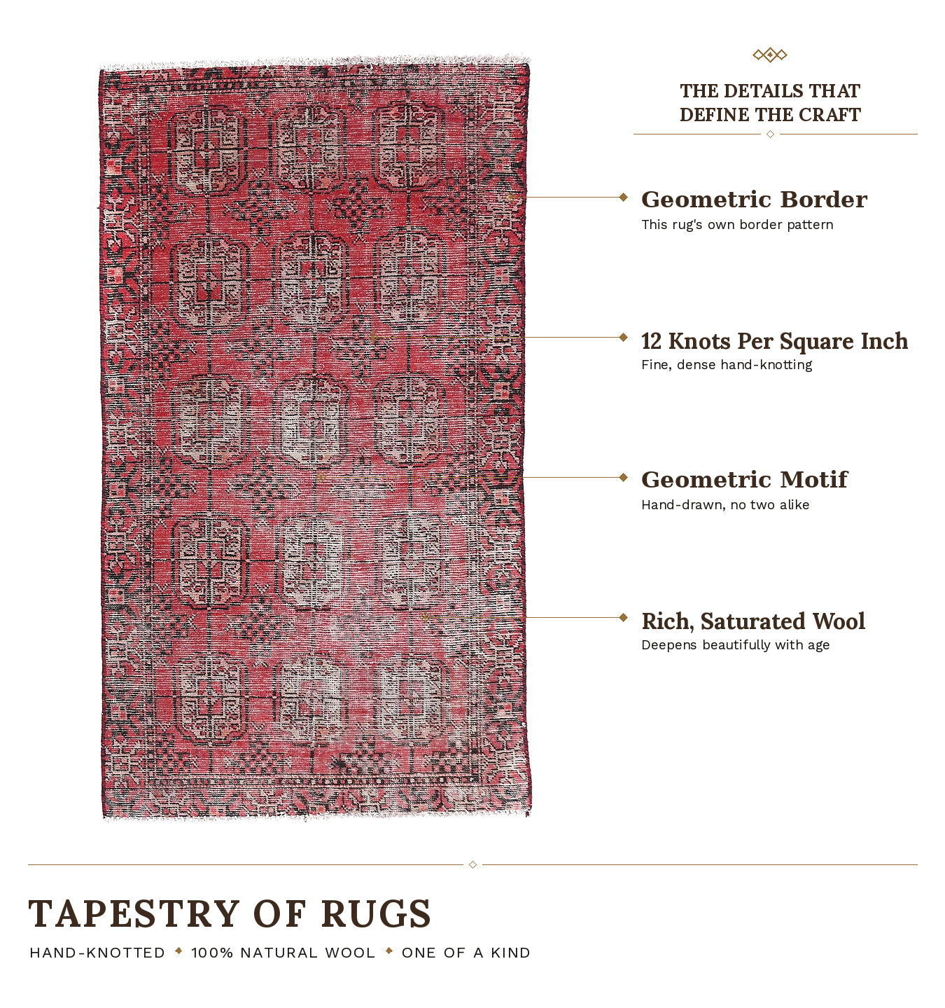 SHR481 product infographic