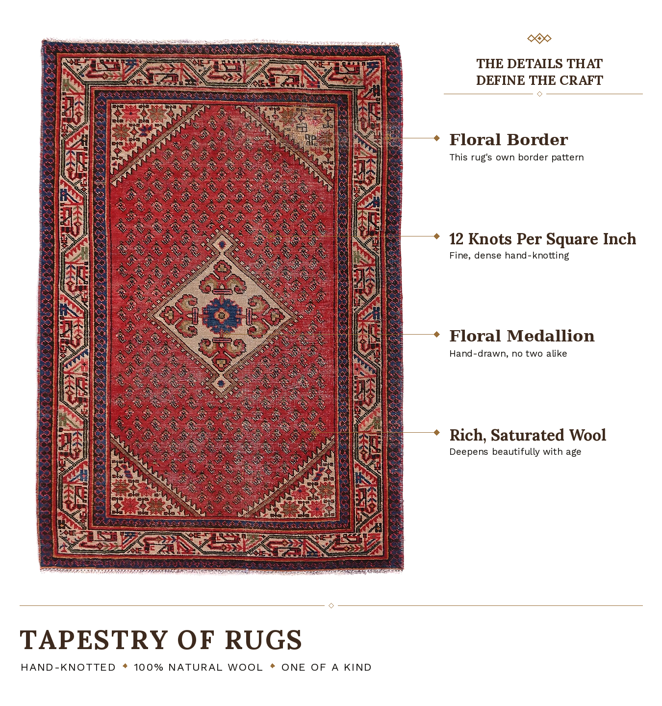 SHR548 product infographic