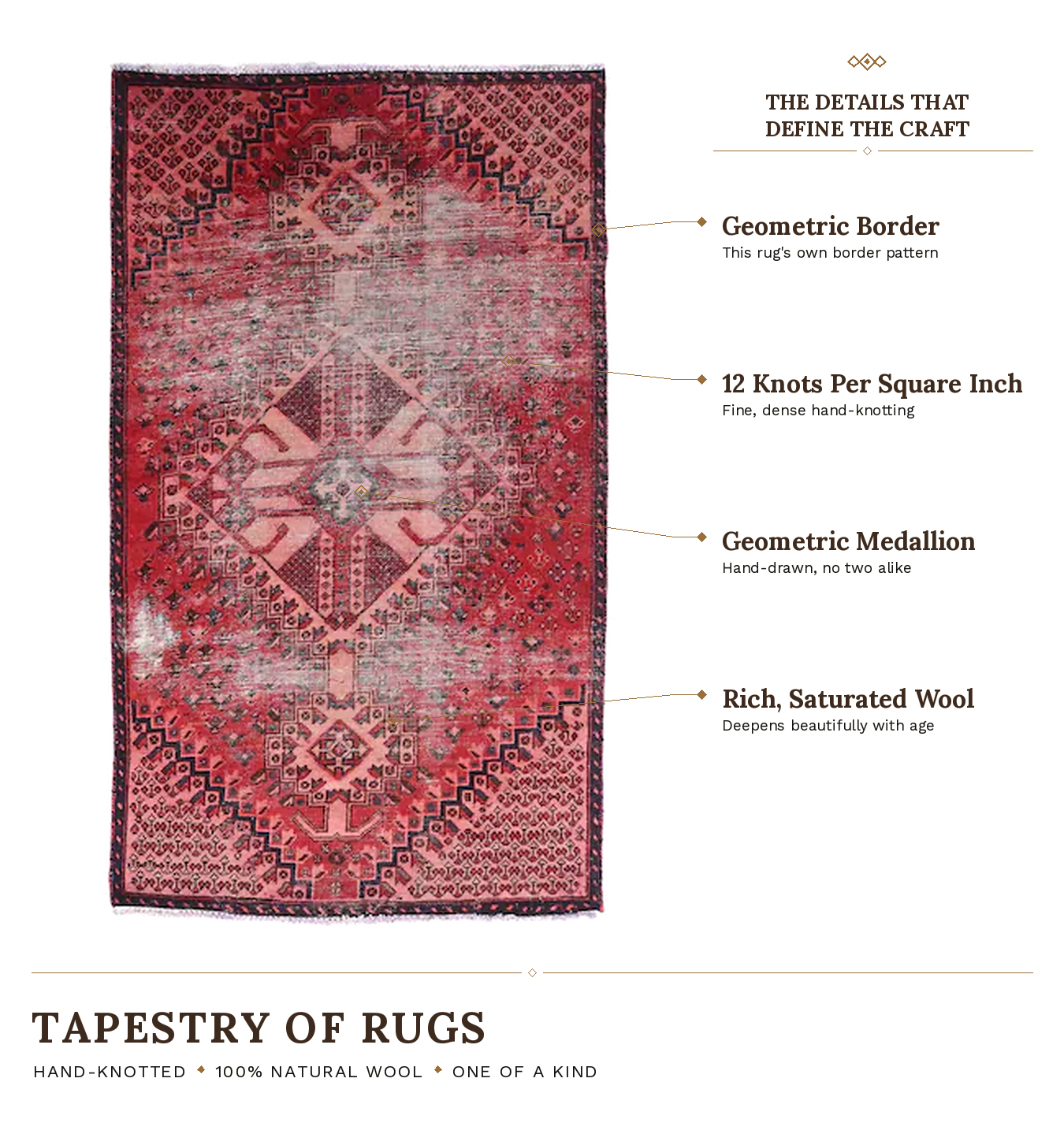 SHR595 product infographic