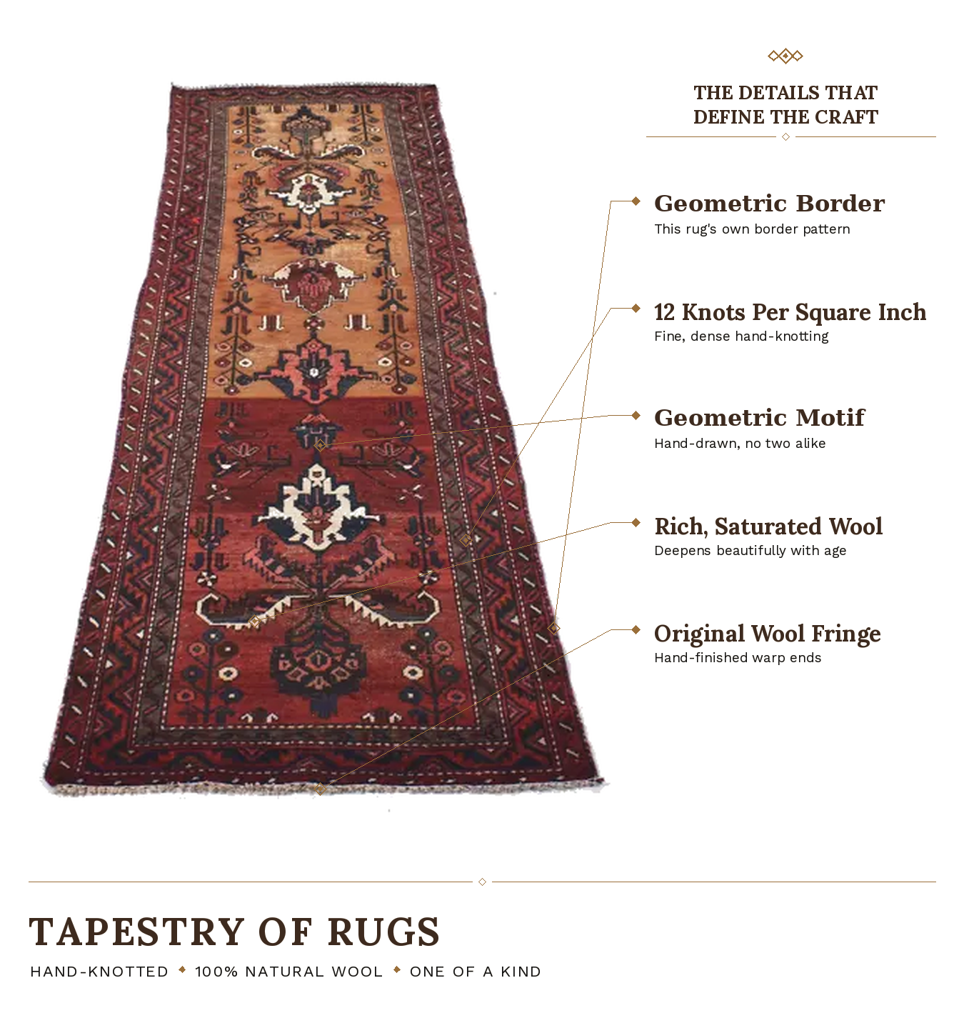 SHR299 product infographic