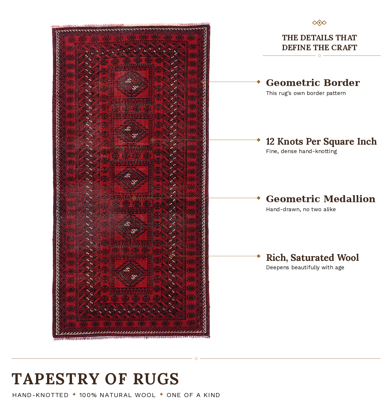 SHR499 product infographic