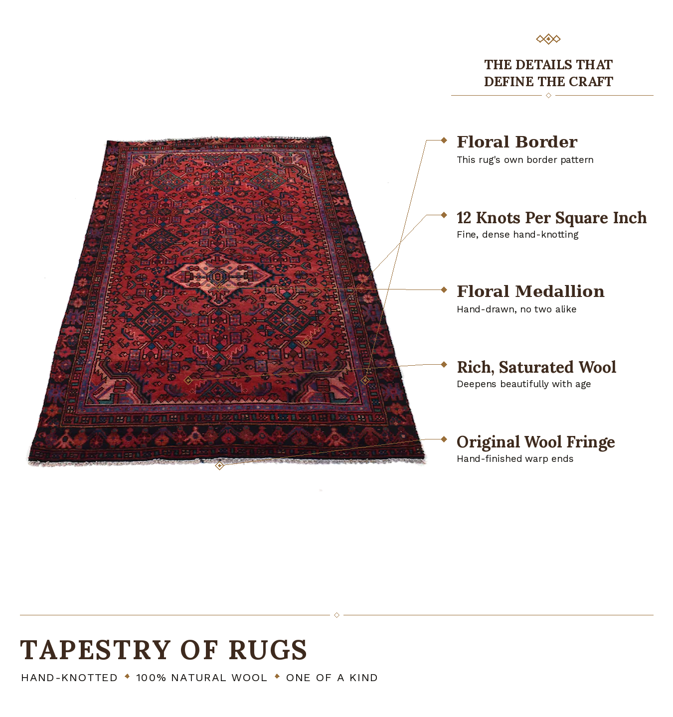 SHR229 product infographic