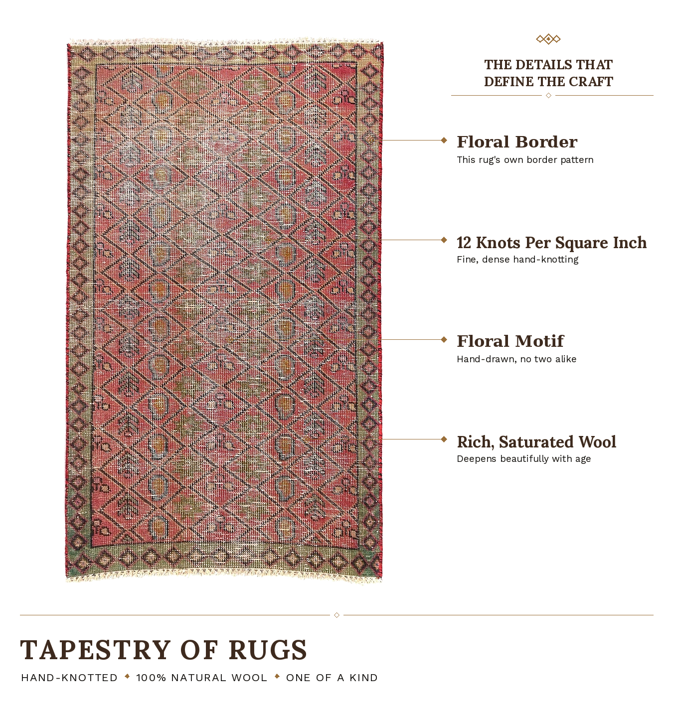 SHR555 product infographic
