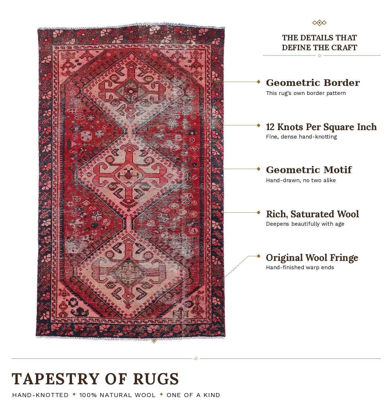 SHR593 product infographic