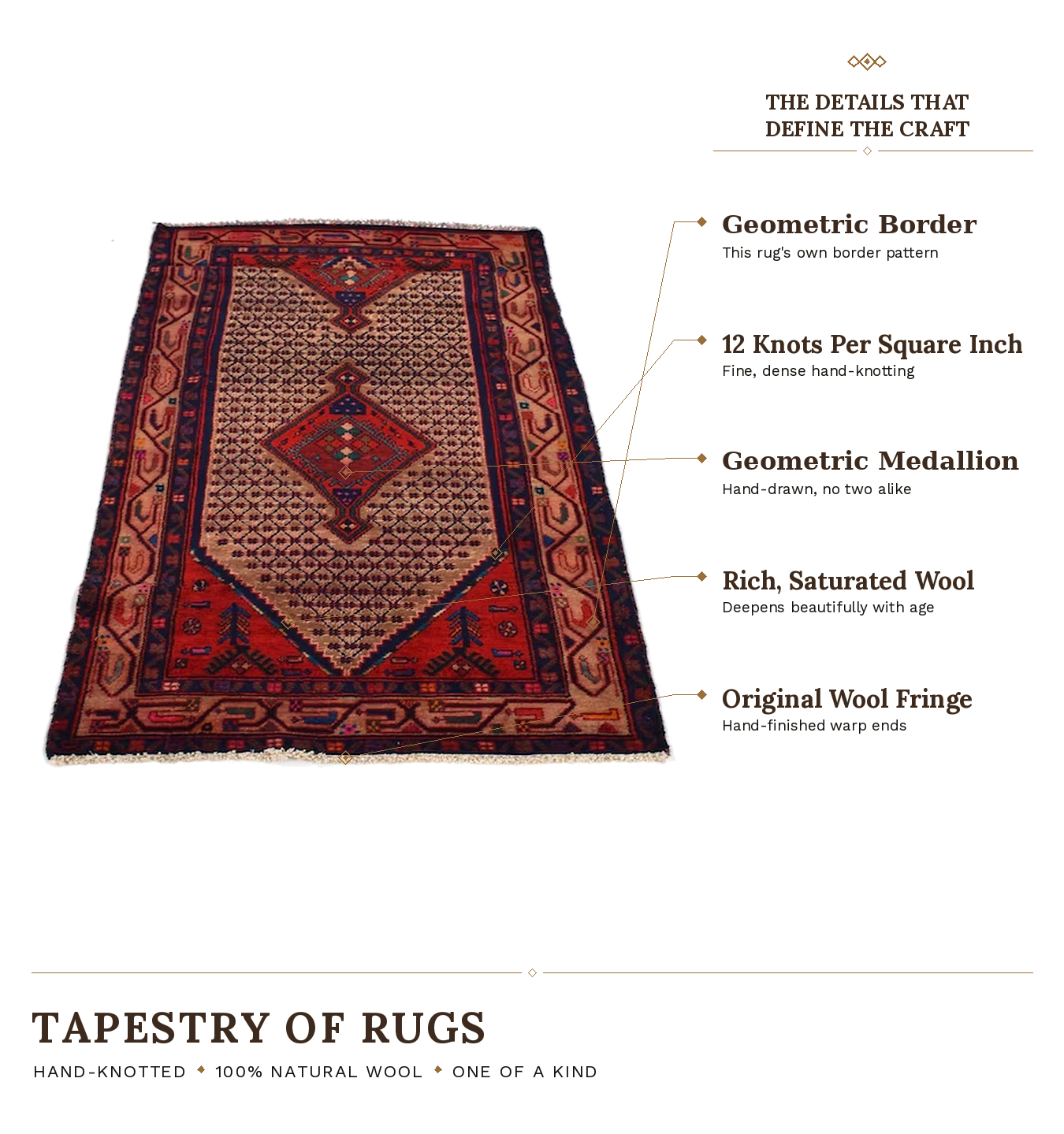 SHR162 product infographic
