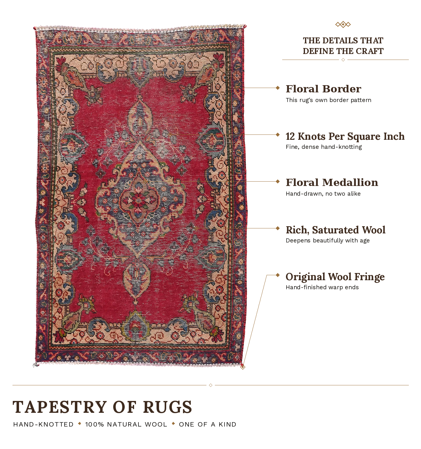 SHR561 product infographic