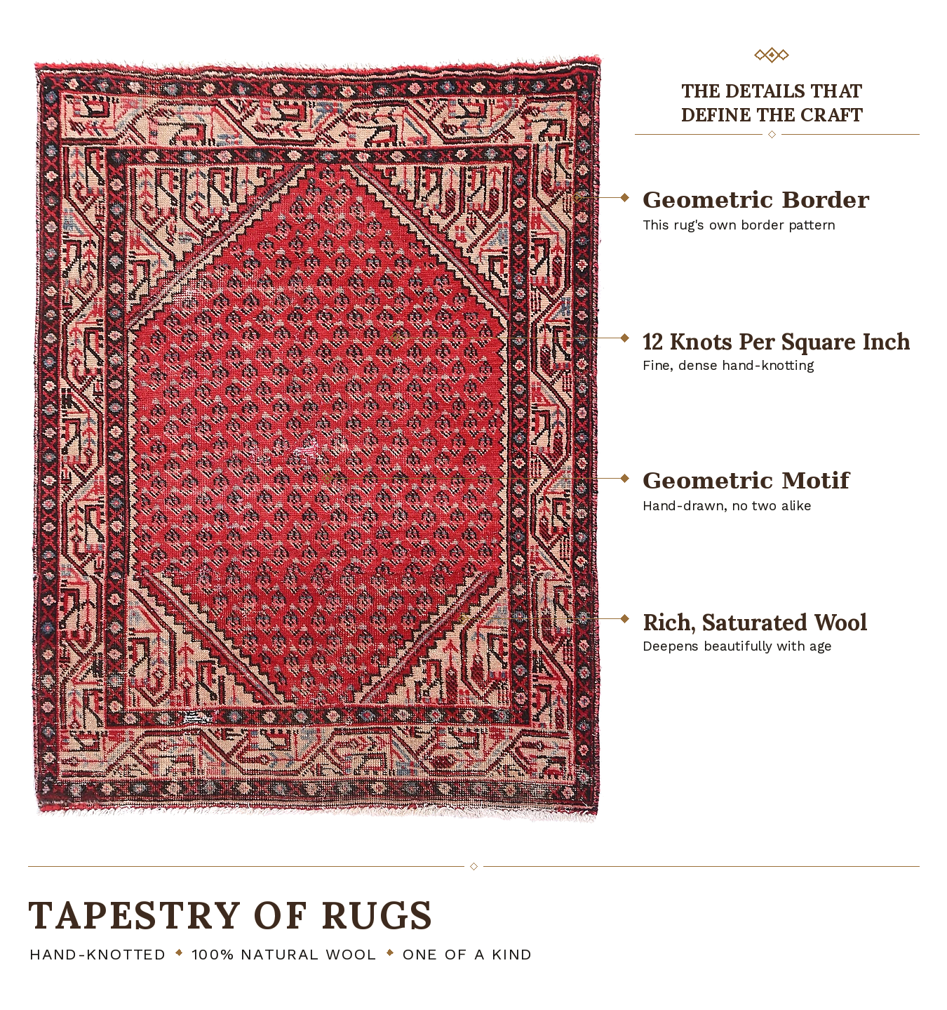SHR591 product infographic