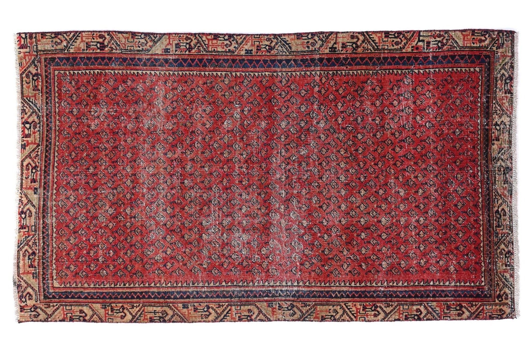 Red patterned rug on a white background