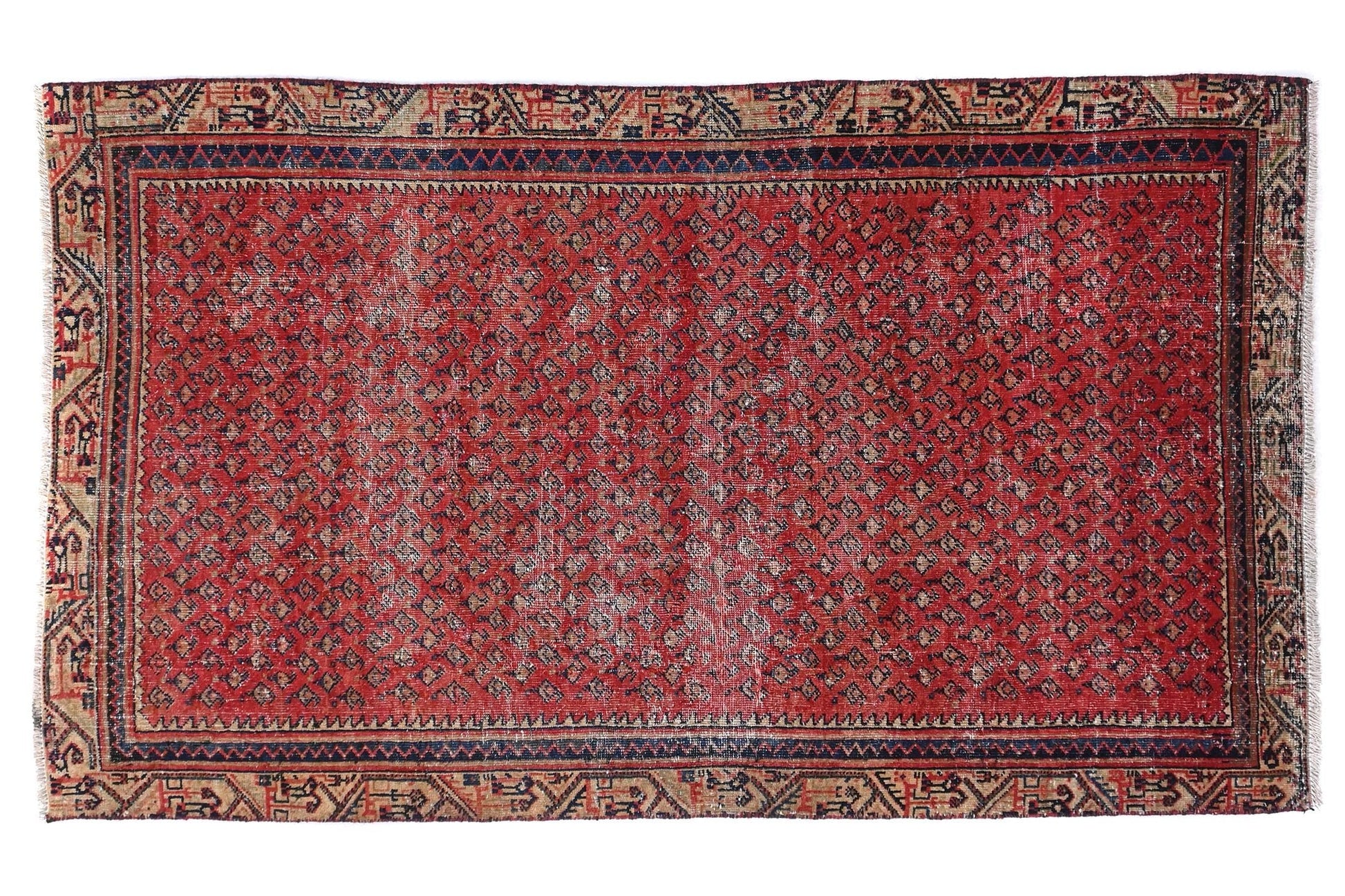 Red patterned rug on a white background