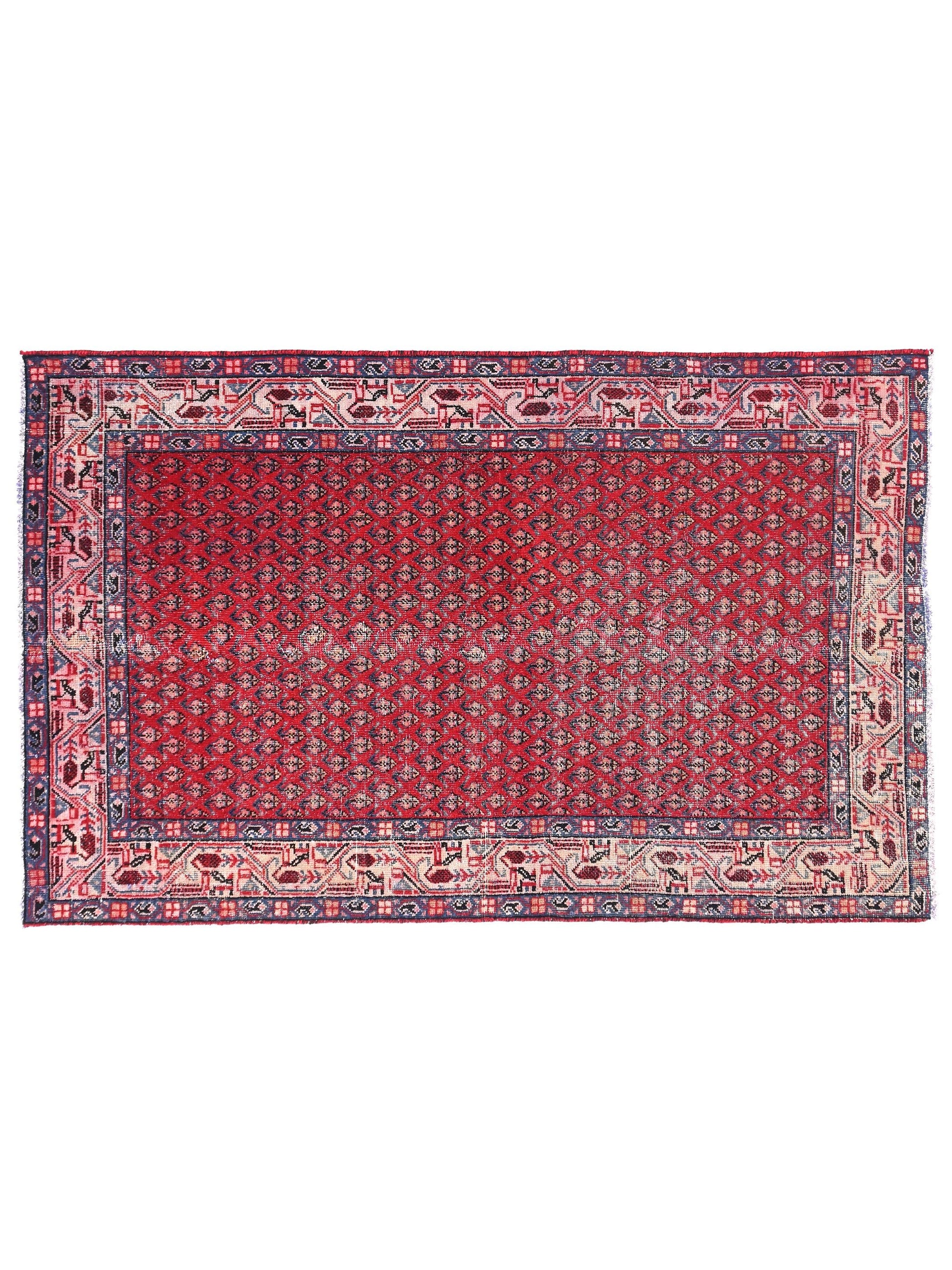 Red patterned rug with a white background
