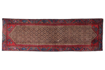 Long, narrow patterned rug with red and blue border on a white background