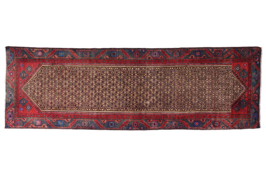Long, narrow patterned rug with red and blue border on a white background